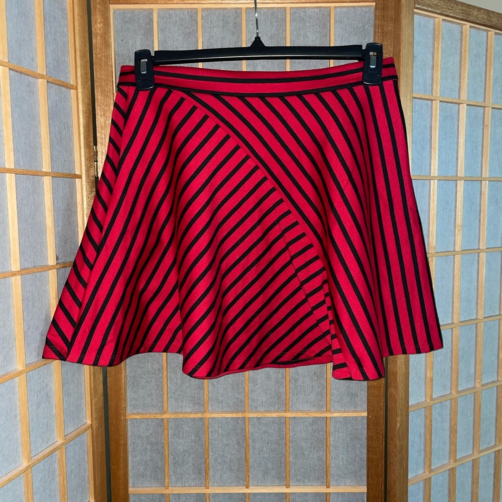 Striped Skater Skirt